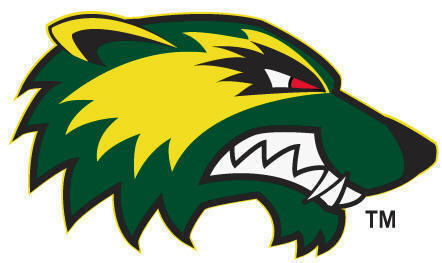 Utah Valley Wolverines 2012-Pres Alternate Logo diy DTF decal sticker